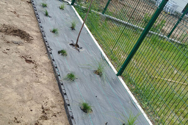 Zakładanie ogrodu w Krakowie