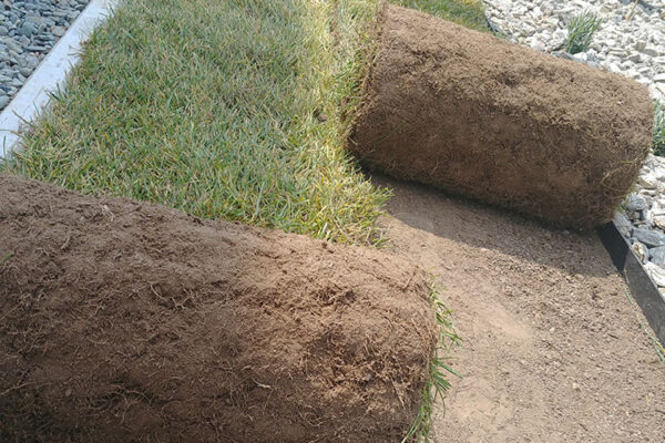 Zakładanie ogrodu w Krakowie