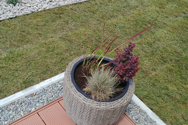 Zakładanie ogrodu w Krakowie