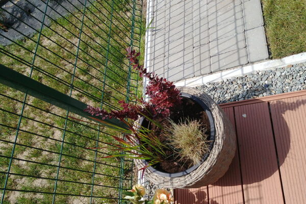 Zakładanie ogrodu w Krakowie