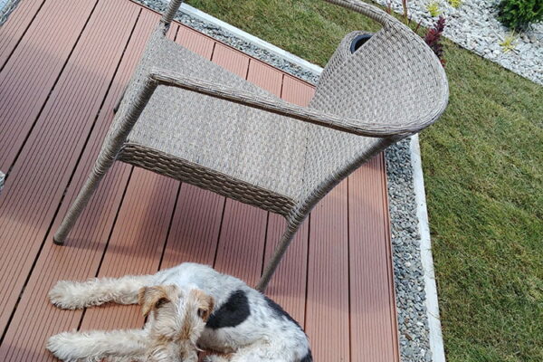 Projekt Ogrodu w Krakowie