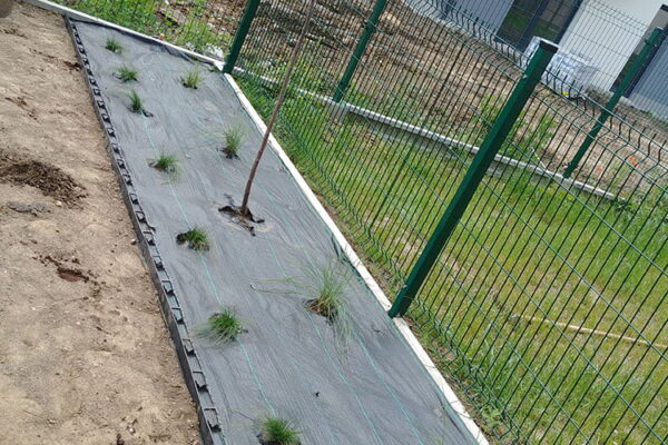 Zakładanie ogrodu w Krakowie