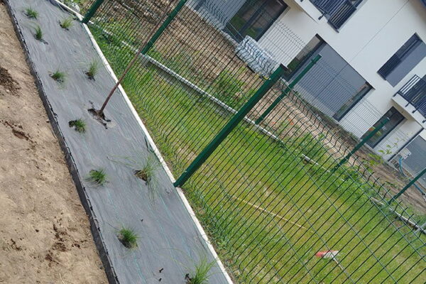 Zakładanie ogrodu w Krakowie