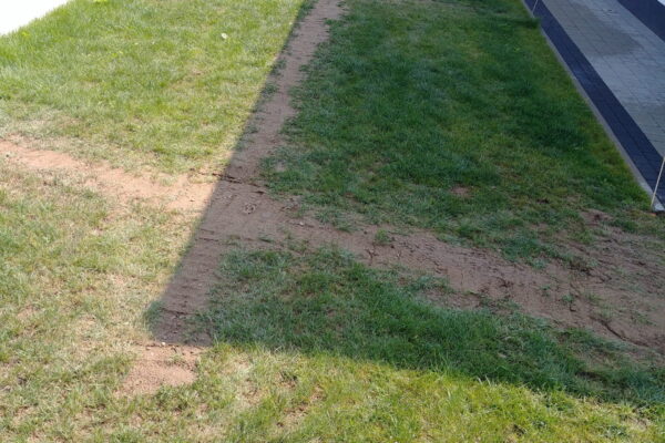 Zakładanie ogrodu w Wierzchosławicach z systemem nawadniania