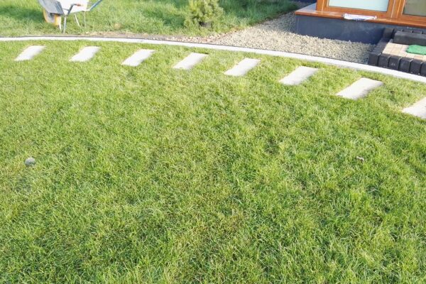 Zakładanie ogrodu Wierzchosławice