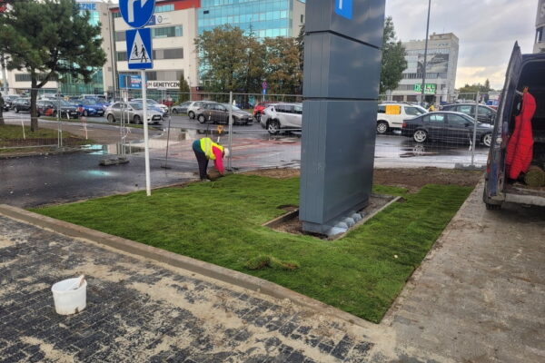 Projekt Przestrzeni i ogrodu przy sklepie Kaufland