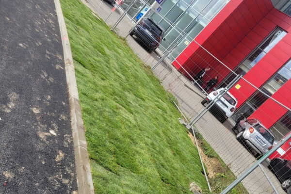 Projekt Przestrzeni i ogrodu przy sklepie Kaufland