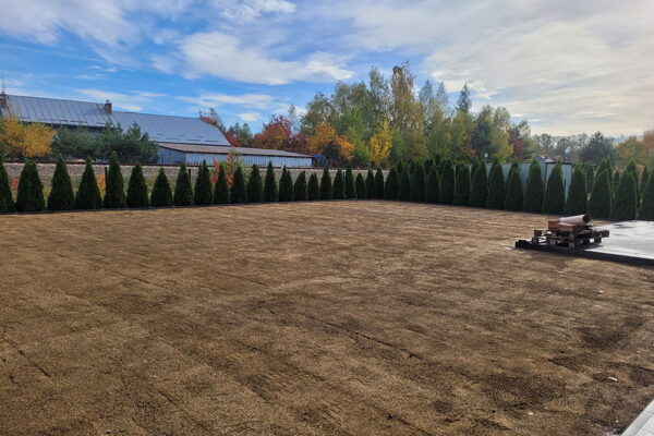 Zakładanie ogrodu z nawodnieniem w Tarnowie