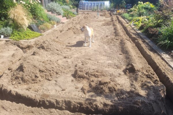 Zakładanie ogrodu w Tarnowie z systemem nawadniania