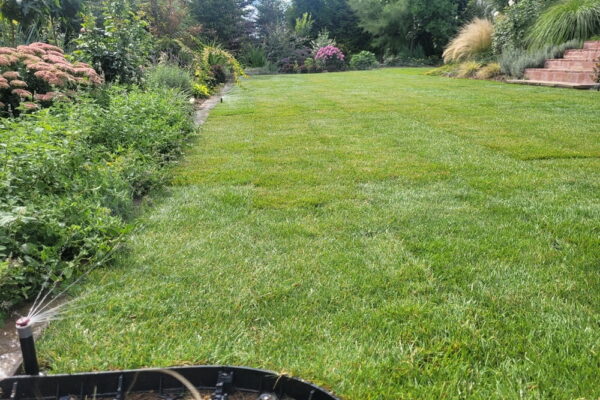 Zakładanie ogrodu w Tarnowie z systemem nawadniania