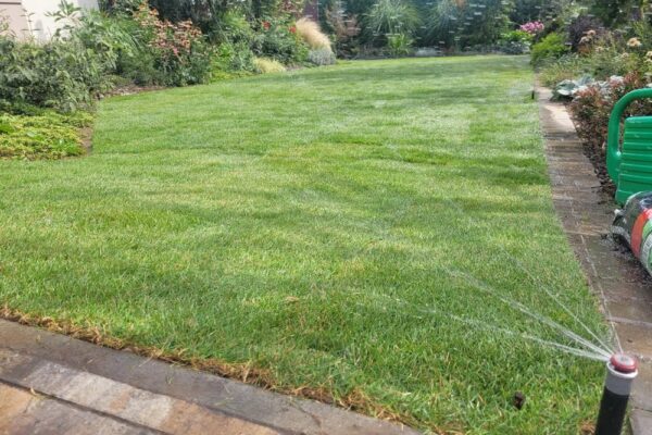 Zakładanie ogrodu w Tarnowie z systemem nawadniania