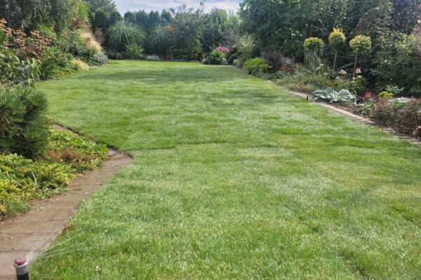 Zakładanie ogrodu domowego w Tarnowie