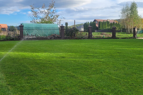 Realizacja trawnika z rolki w Tarnowie